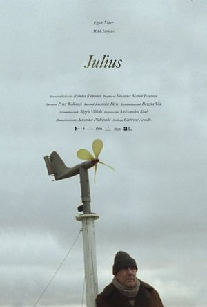 Julius's poster