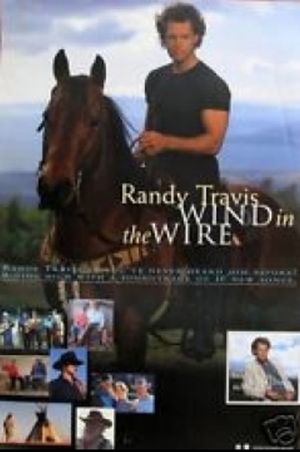Wind in the Wire's poster
