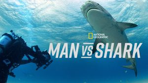 Man vs. Shark's poster