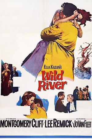 Wild River's poster