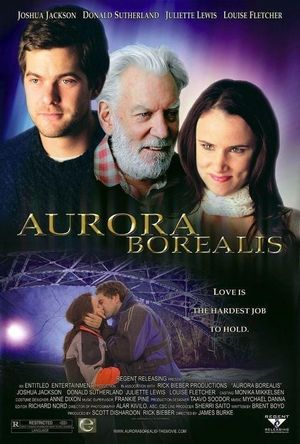 Aurora Borealis's poster image