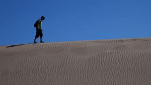 The Child of the Sahara's poster