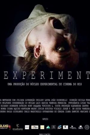 The Experiment's poster image