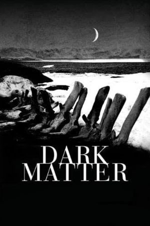 Dark Matter's poster