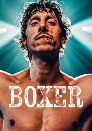 Boxer's poster