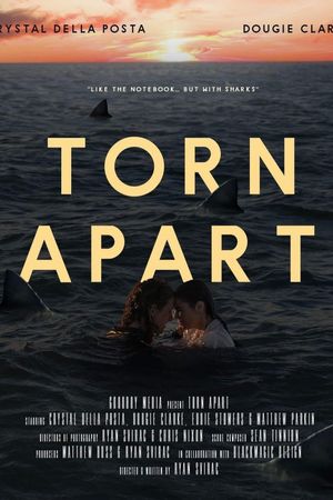 Torn Apart's poster