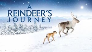 A Reindeer's Journey's poster