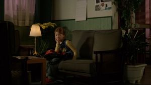 The Butterfly's poster