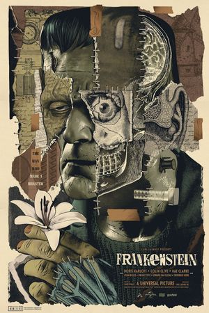Frankenstein's poster