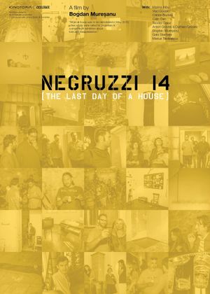 Negruzzi 14's poster