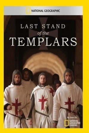 Templars - The Last Stand's poster