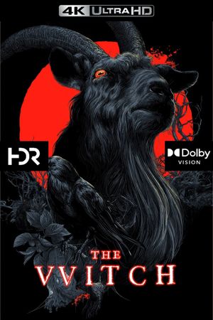 The Witch's poster