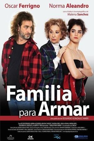 Familia para armar's poster image