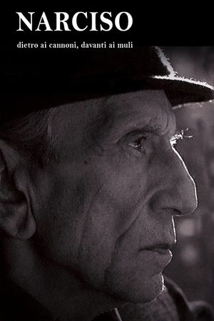 Narciso, dietro i cannoni, davanti ai muli's poster