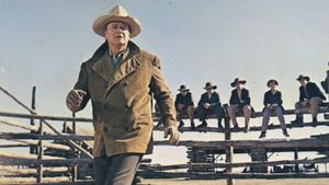 The Cowboys's poster