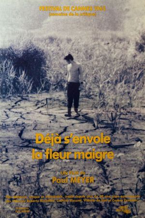 Déjà s'envole la fleur maigre's poster