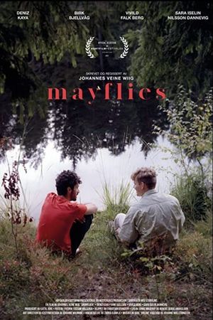 Mayflies's poster image