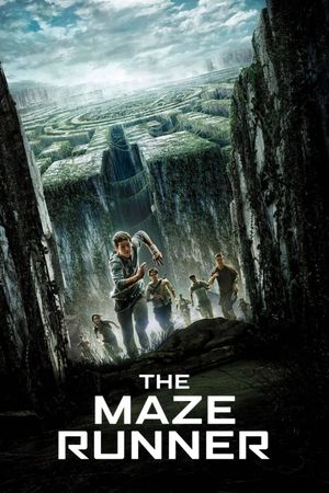 The Maze Runner's poster