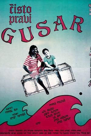 A Real Pirate's poster