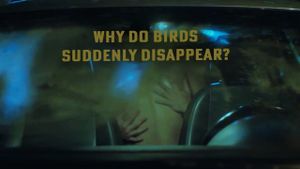 Why Do Birds Suddenly Disappear's poster