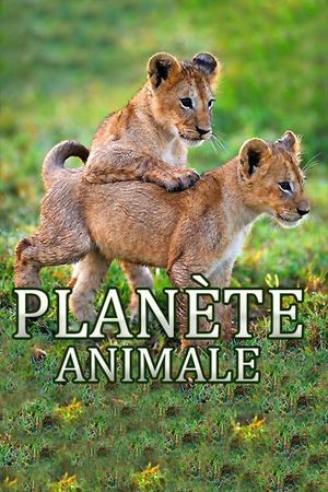 Animal Planet's poster