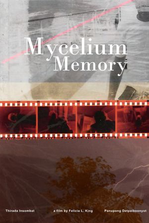 Mycelium Memory's poster image