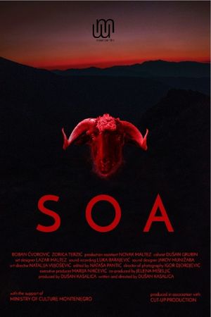 Soa's poster