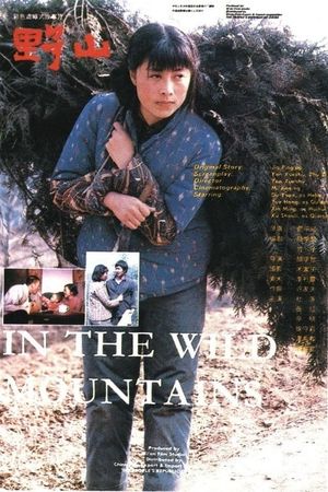 In the Wild Mountains's poster