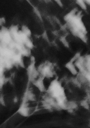 Portions of Light,  A Section's poster
