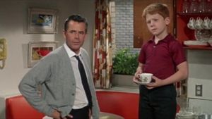 The Courtship of Eddie's Father's poster