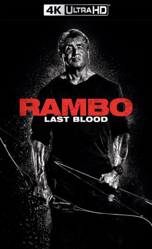 Rambo: Last Blood's poster