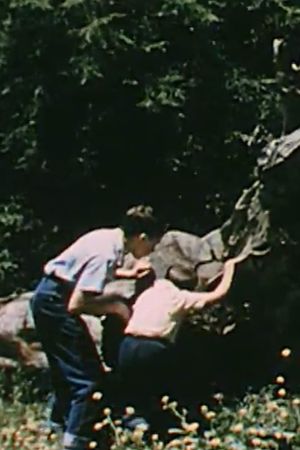 Life On a Dead Tree's poster