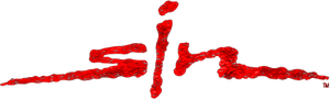 Sin: The Movie's poster