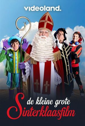 De kleine grote Sinterklaasfilm's poster