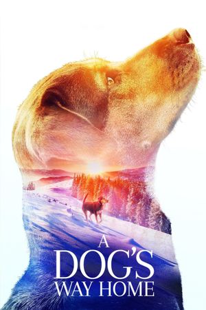 A Dog's Way Home's poster