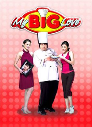My Big Love's poster