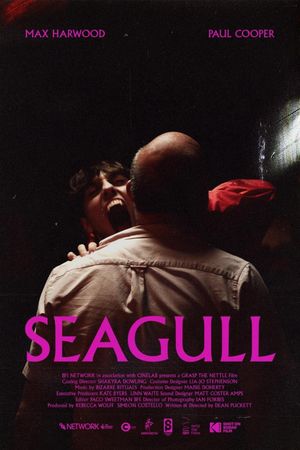 Seagull's poster
