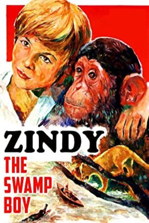 Zindy the Swamp Boy's poster