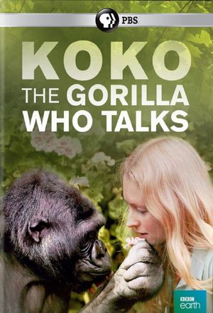 Koko: The Gorilla Who Talks to People's poster