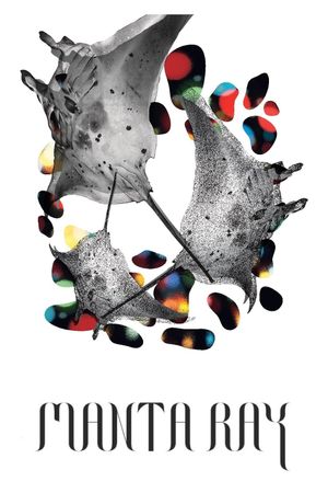 Manta Ray's poster