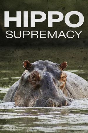 Hippo Supremacy's poster