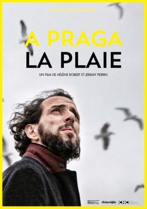 A praga/La plaie's poster