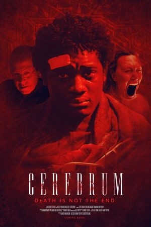 Cerebrum's poster image