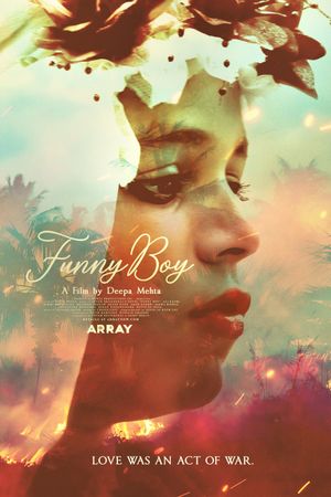 Funny Boy's poster