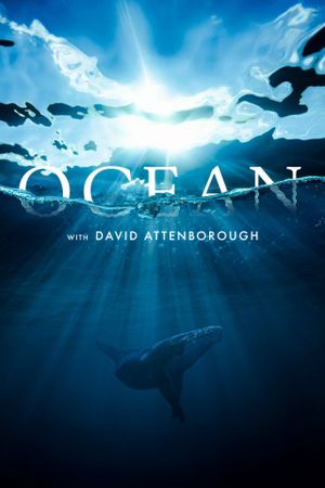 Ocean with David Attenborough's poster