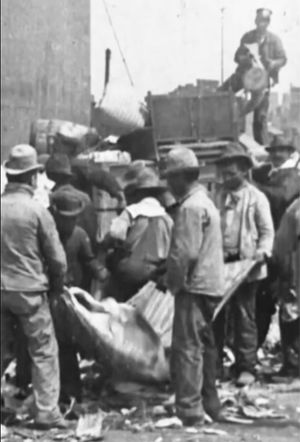 Sorting Refuse at Incinerating Plant, New York City's poster