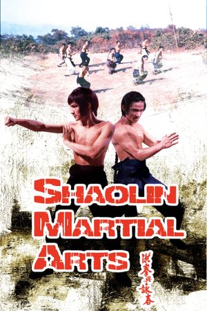 Shaolin Martial Arts's poster