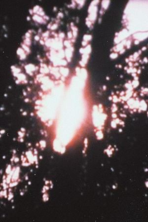 Landscape Dissolves's poster