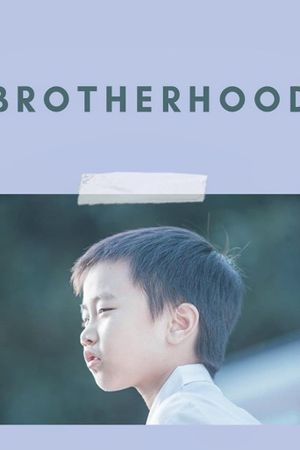 Brotherhood's poster image