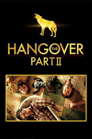 The Hangover Part II's poster